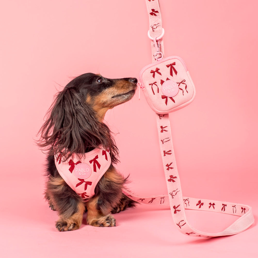 Pablo & Co Velvet Blush Bows Dog Leash