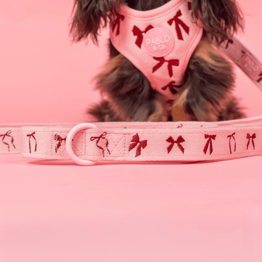 Pablo & Co Velvet Blush Bows Dog Leash
