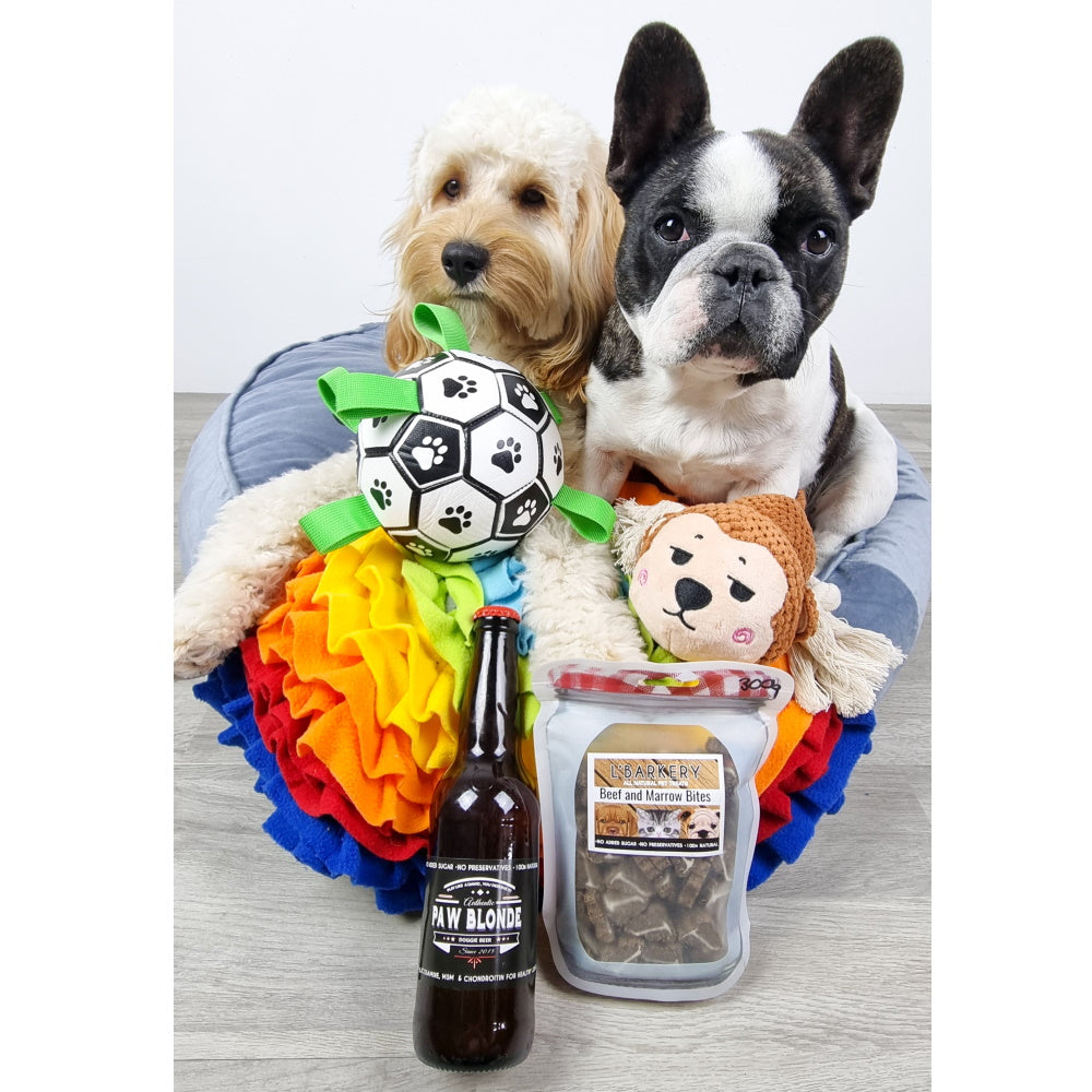 Interactive Dog Soccer Ball With Grab Tabs