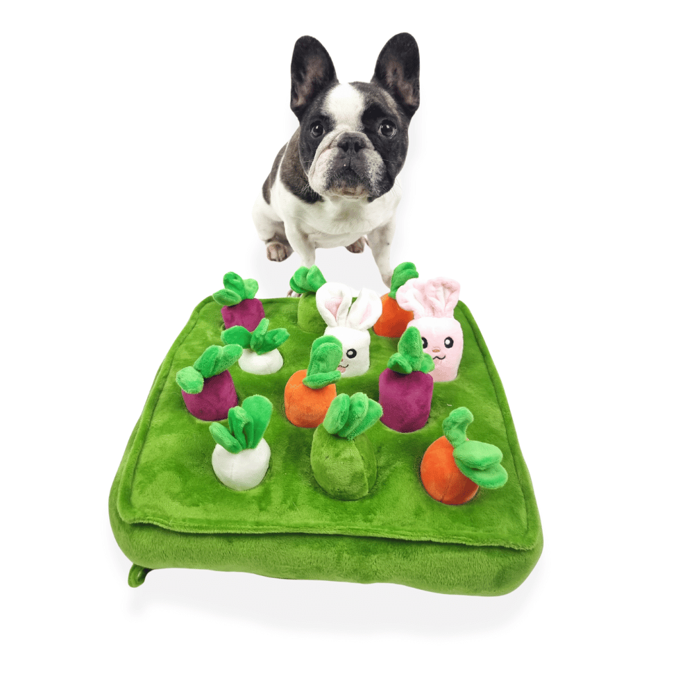 Bunny Garden Nose Work Toy