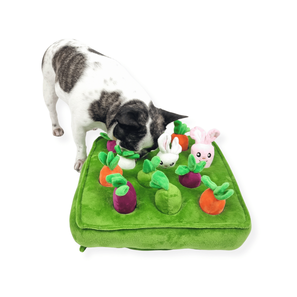 Bunny Garden Nose Work Toy