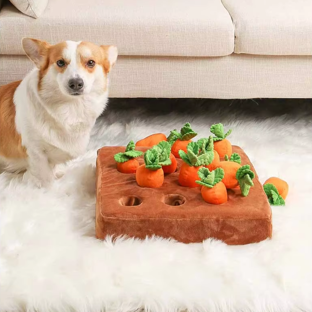 Carrot Patch Nose Work Toy