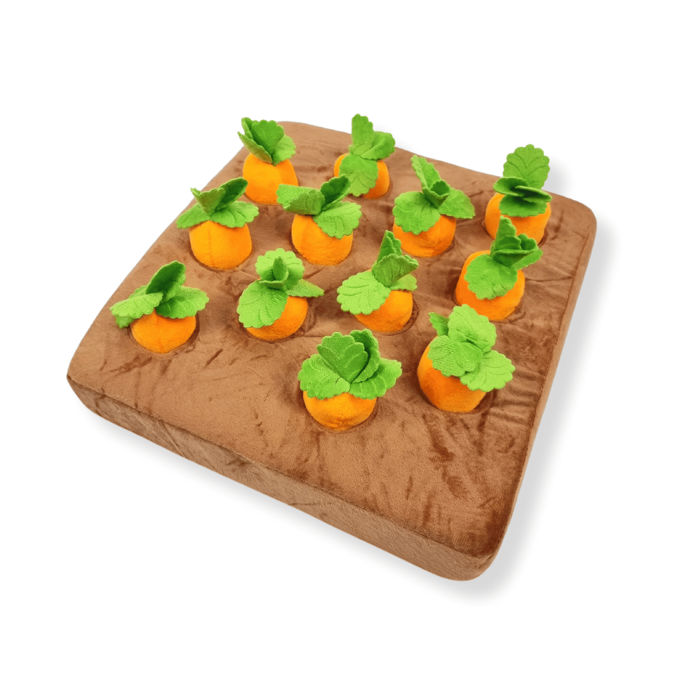 Carrot Patch Nose Work Toy