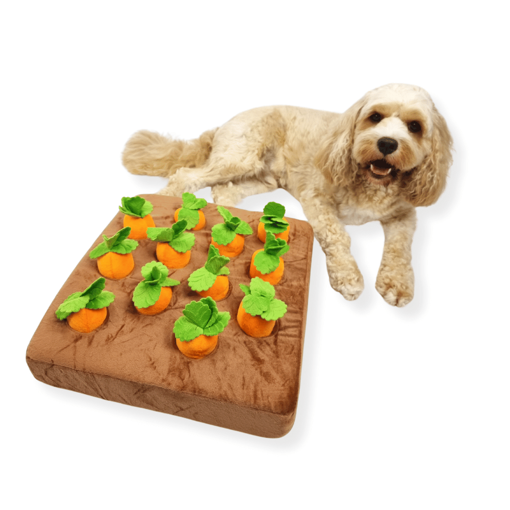 Carrot Patch Nose Work Toy