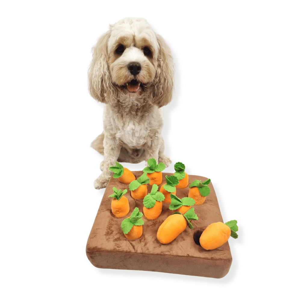 Carrot Patch Nose Work Toy