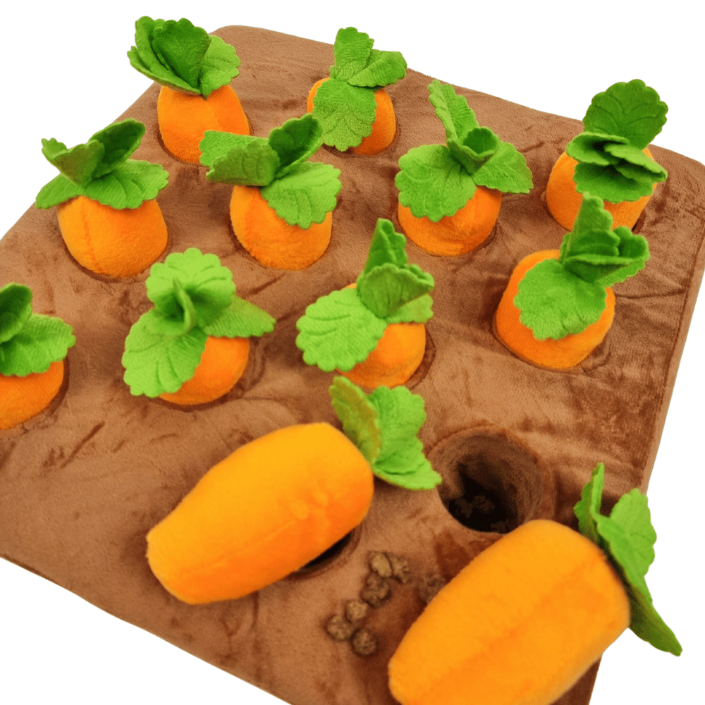 Carrot Patch Nose Work Toy