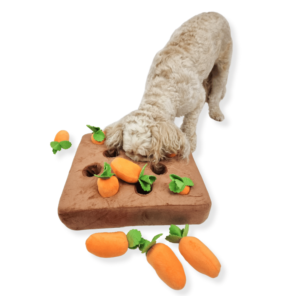 Carrot Patch Nose Work Toy