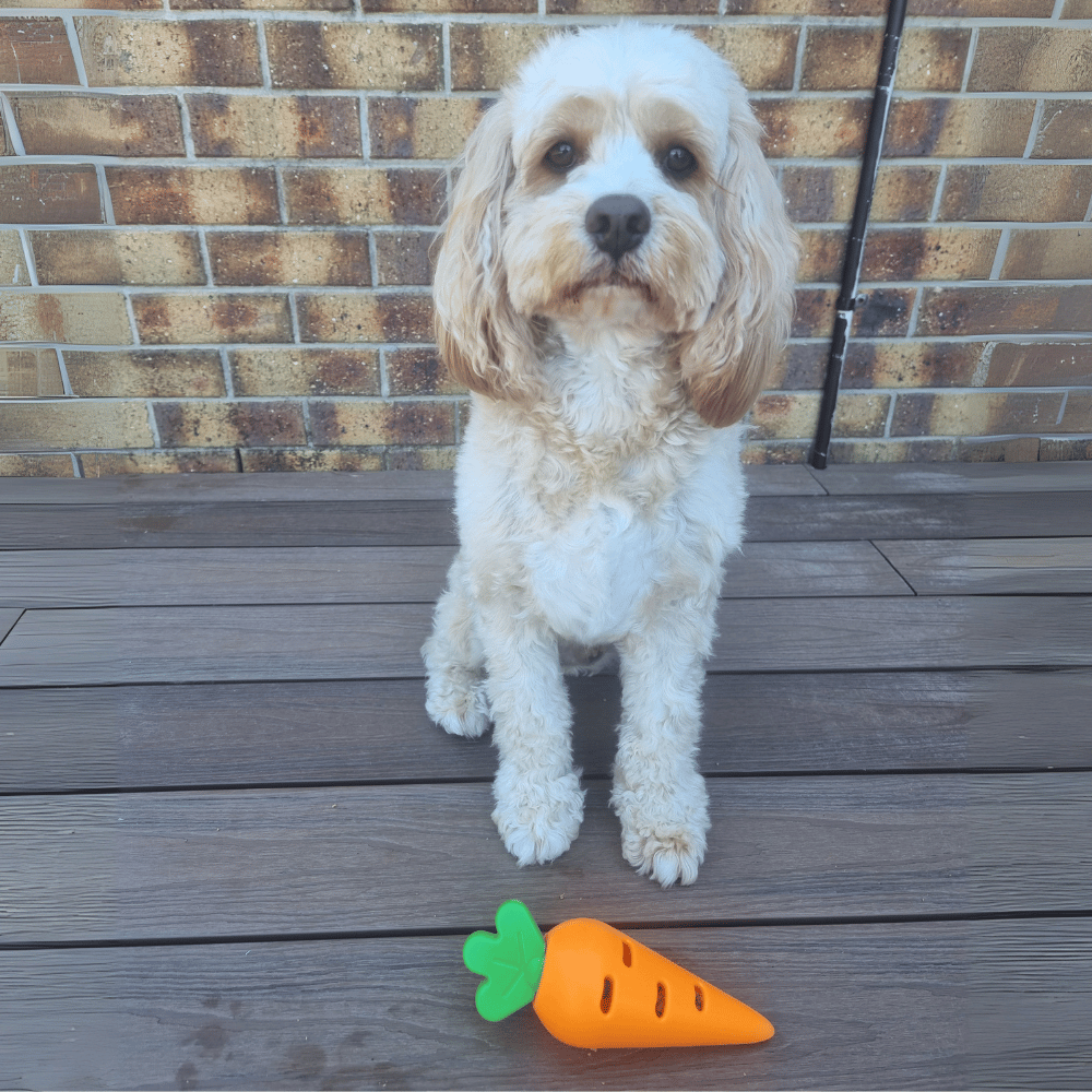 Carrot Treat Dispenser Dog Toy