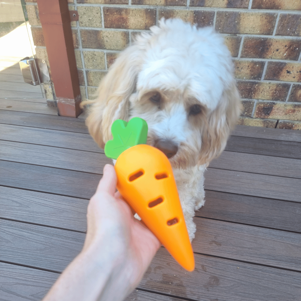 Carrot Treat Dispenser Dog Toy