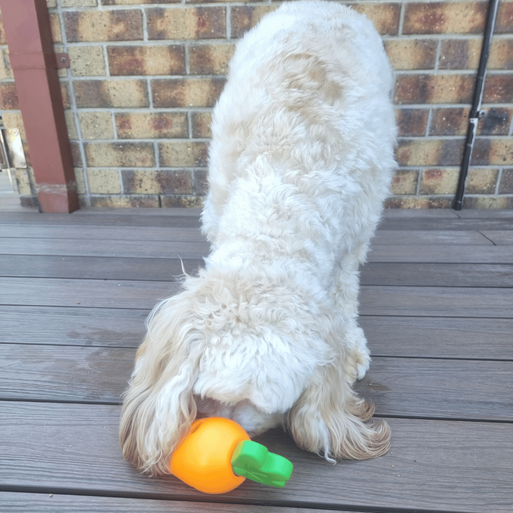 Carrot Treat Dispenser Dog Toy