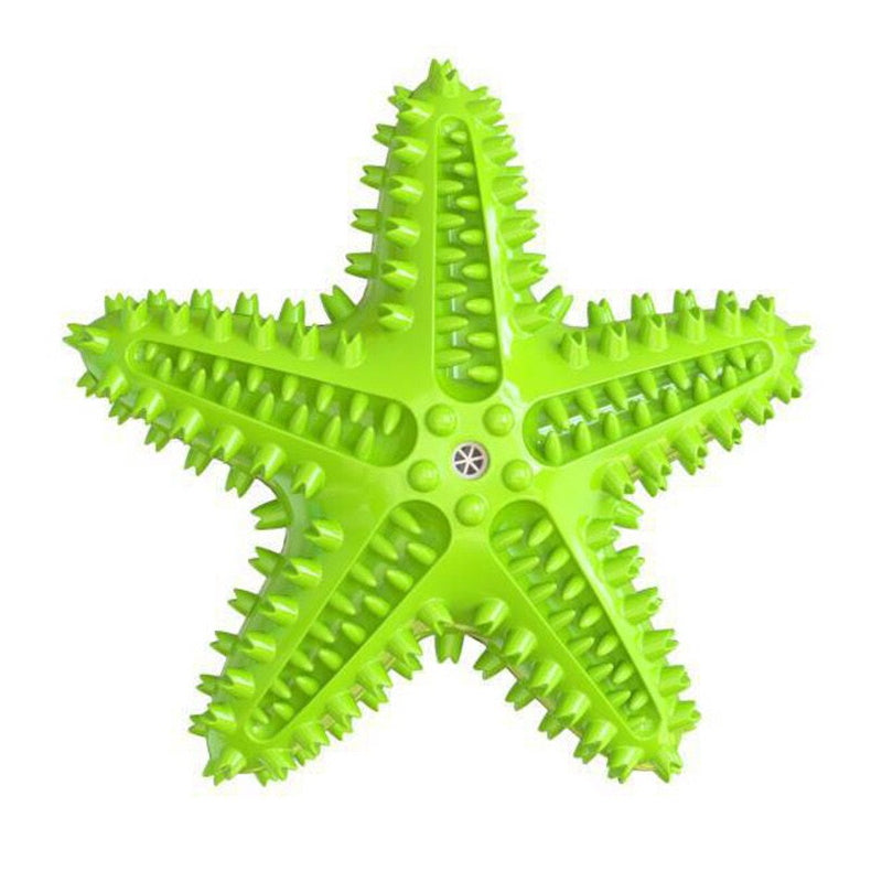Enrichment Starfish Squeaker Dog Toy