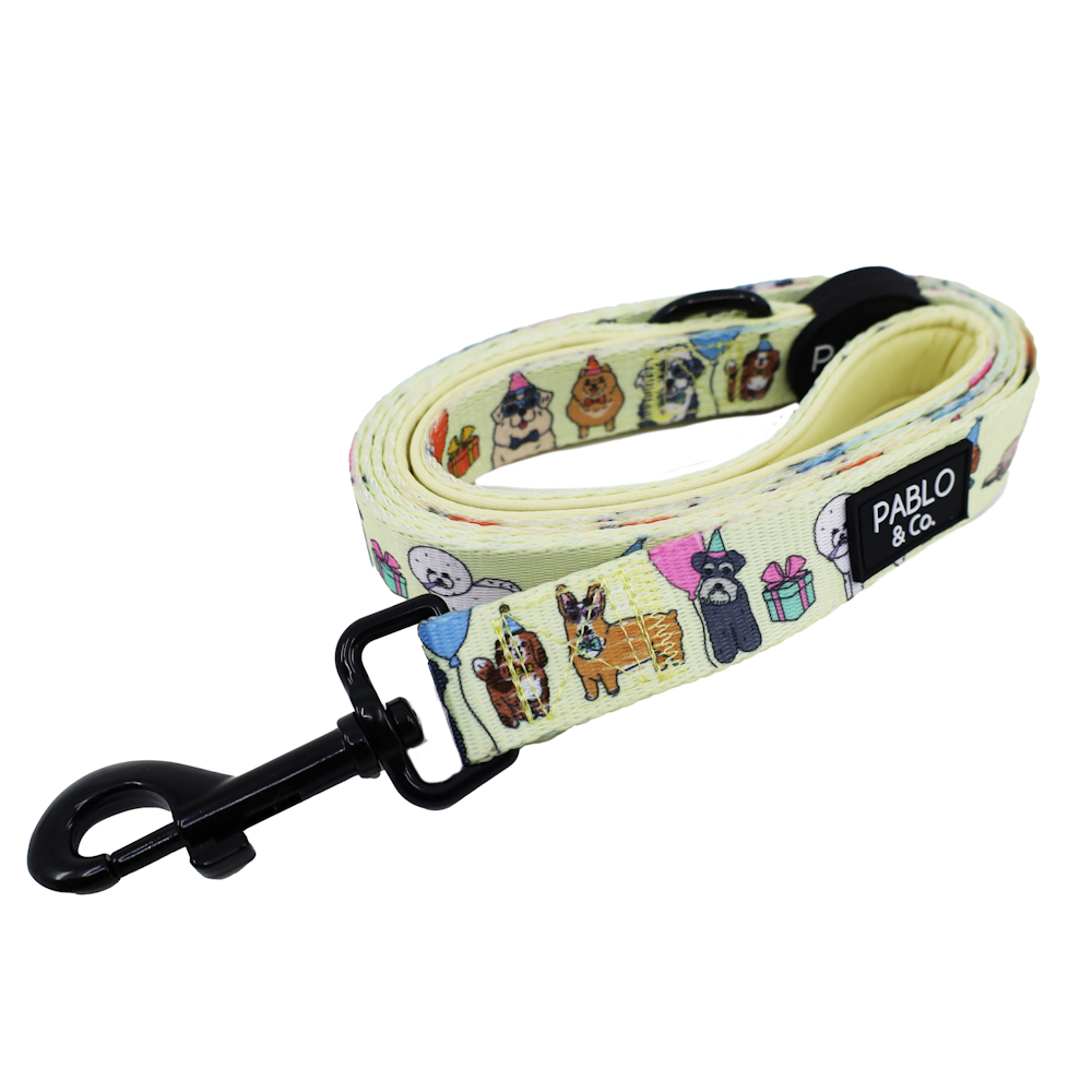 Standard Leashes