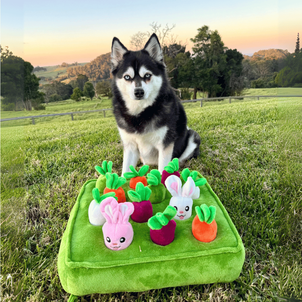 Bunny Garden Nose Work Toy