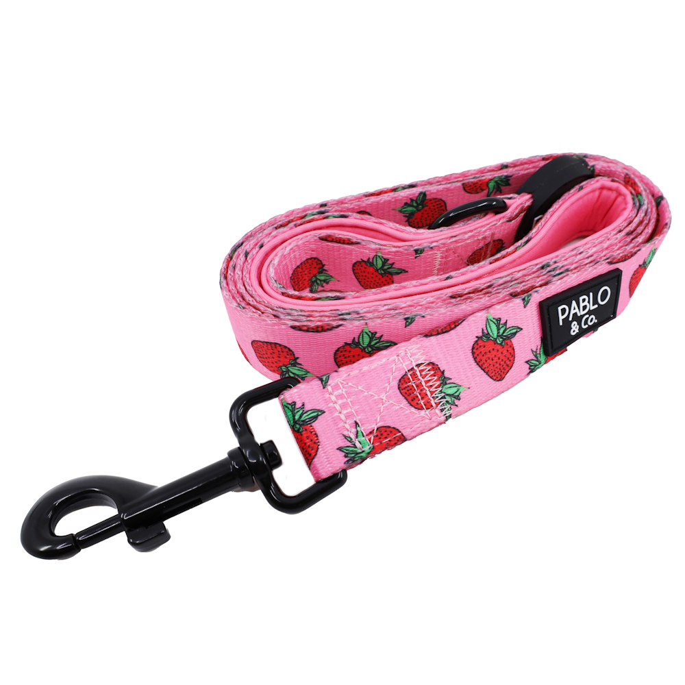 Pablo & Co Strawberries Dog Leash