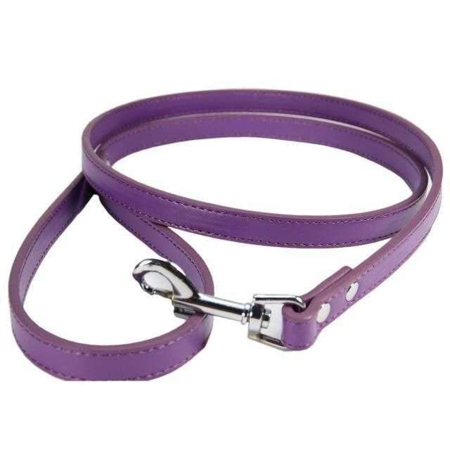 PU Leather Dog Leash