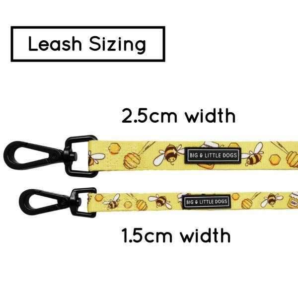 Big & Little Dogs Bee-Hiving Dog Leash